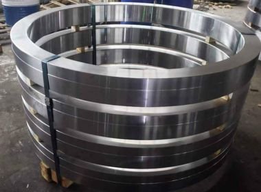 Monel Forged Rings