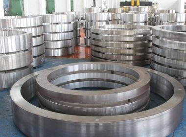 Super Duplex Forged Rings